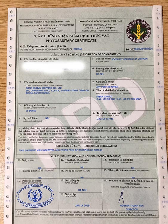 PROCEDURES FOR EXPORTING THE CARROT